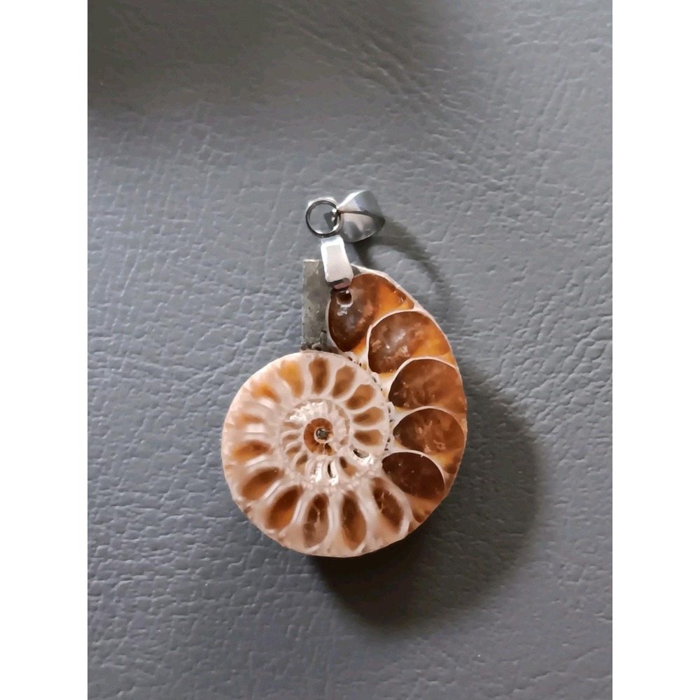 Ammonite Pendant Fossil Gemstone